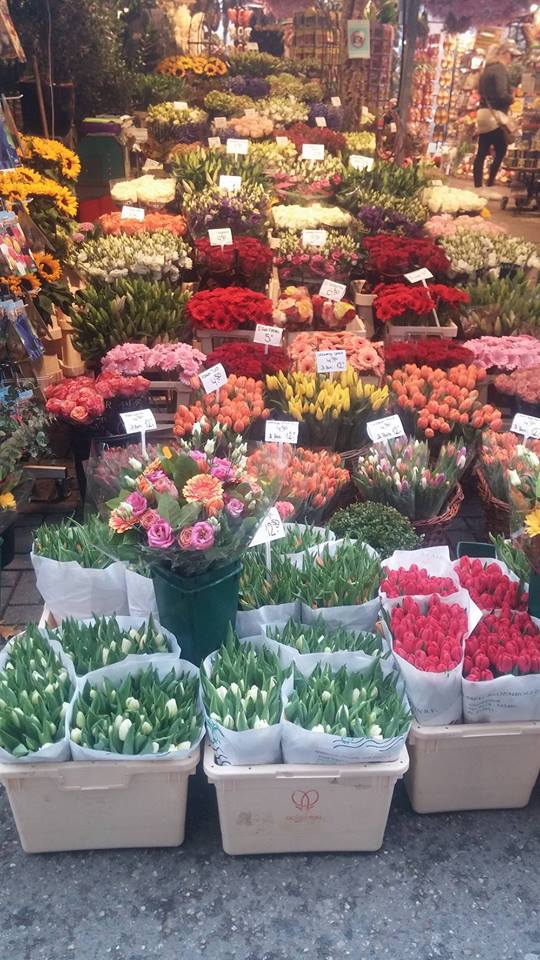 amsterdm-tulipes