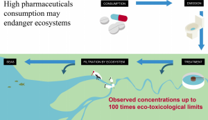 antibiotici e ambiente