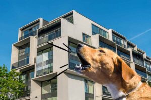 Un condominio ed un cane che abbaia in primo piano