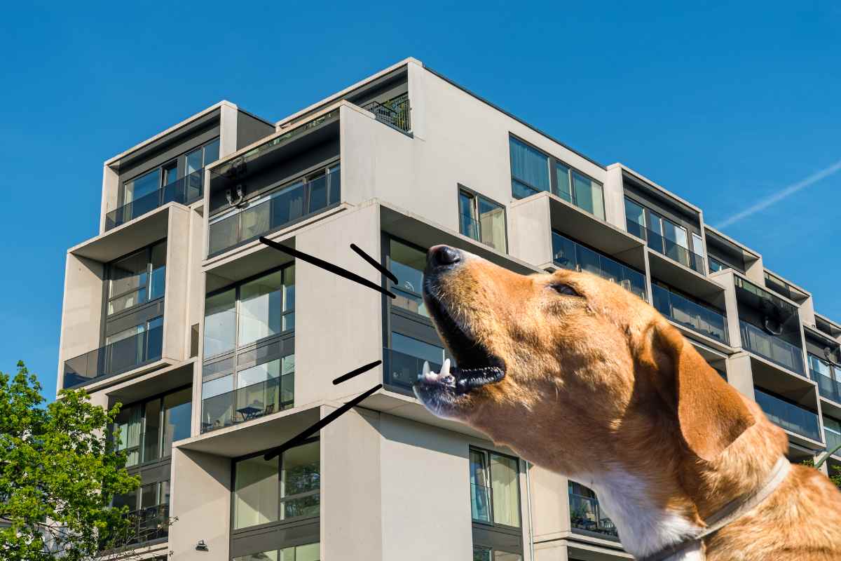Un condominio ed un cane che abbaia in primo piano 