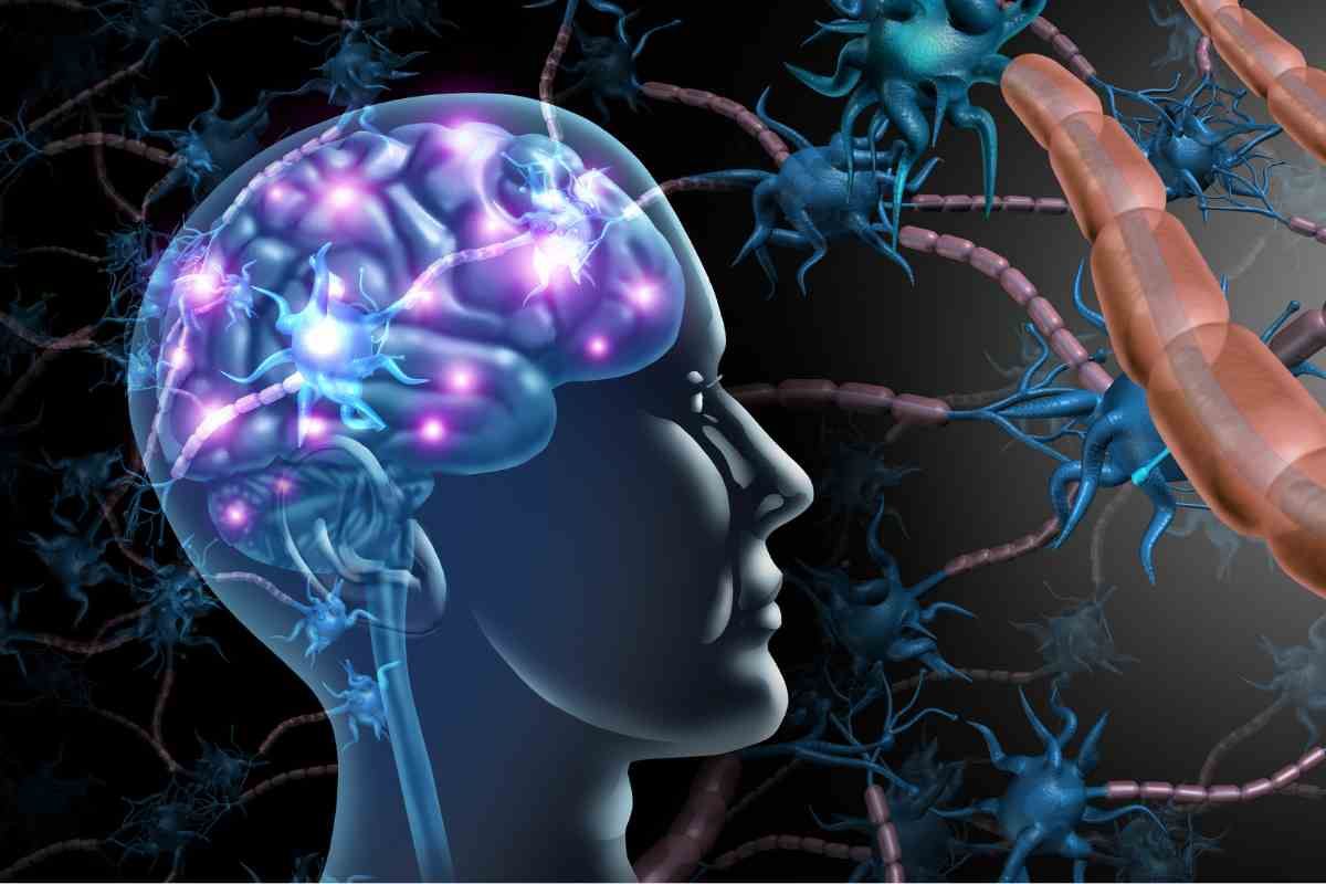 Cervello e connessioni