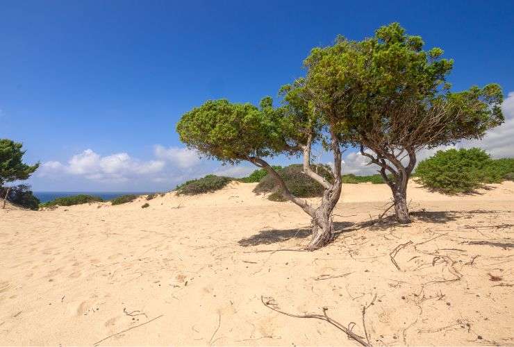 Deserto di Piscinas, Sardegna