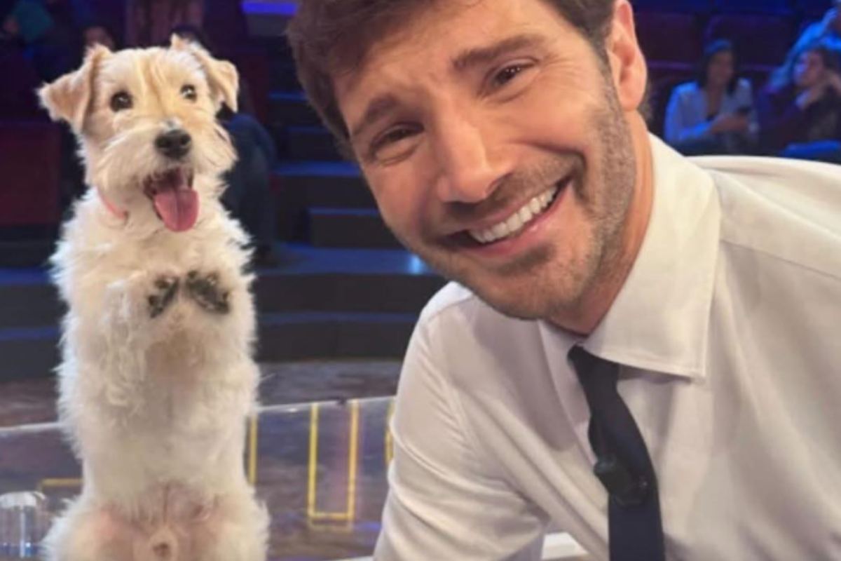 stefano de martino che sorride accanto al cane gennarino