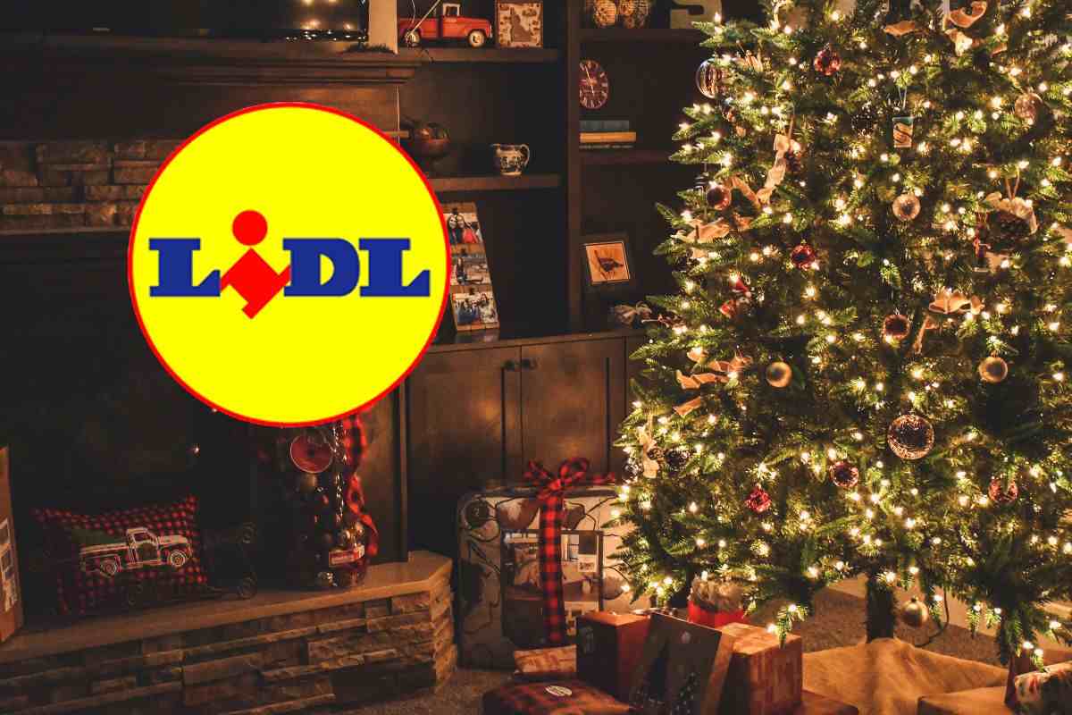 un albero di natale e il logo lidl