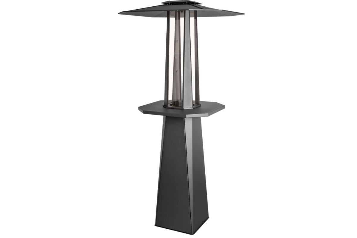 immagine del fungo pirolitico leroy merlin