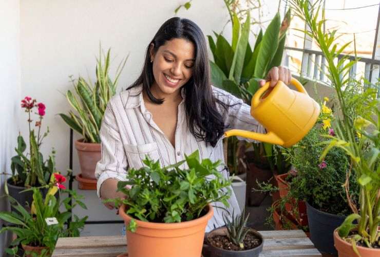 una donna che annaffia le piante