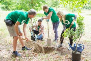 Delle persone che stanno scavando e piantando un albero
