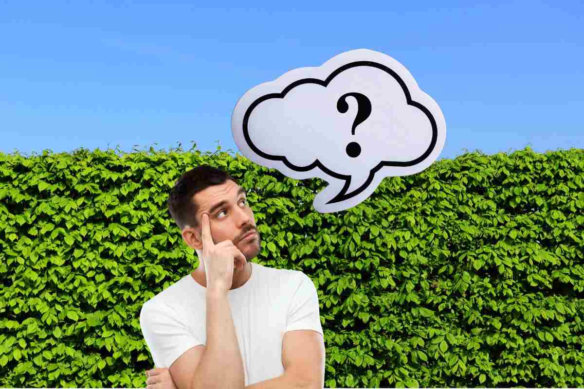 siepe e davanti un ragazzo dubbioso e disegnato un punto interrogativo