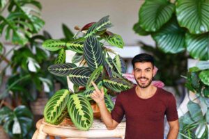 delle piante ed un ragazzo che le indica