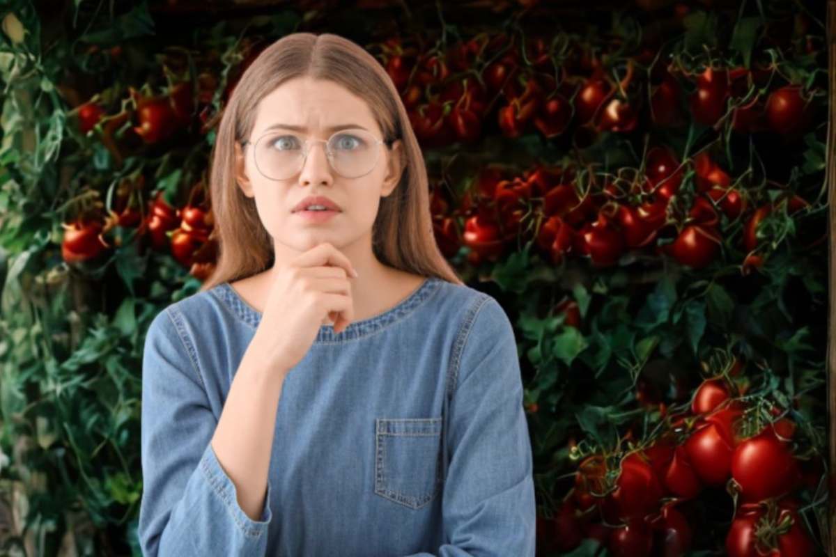 donna con espressione preoccupata e dietro di lei tante piante di pomodori