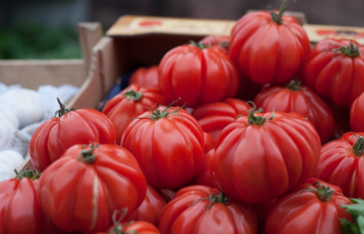 cassa di pomodori cuore di bue