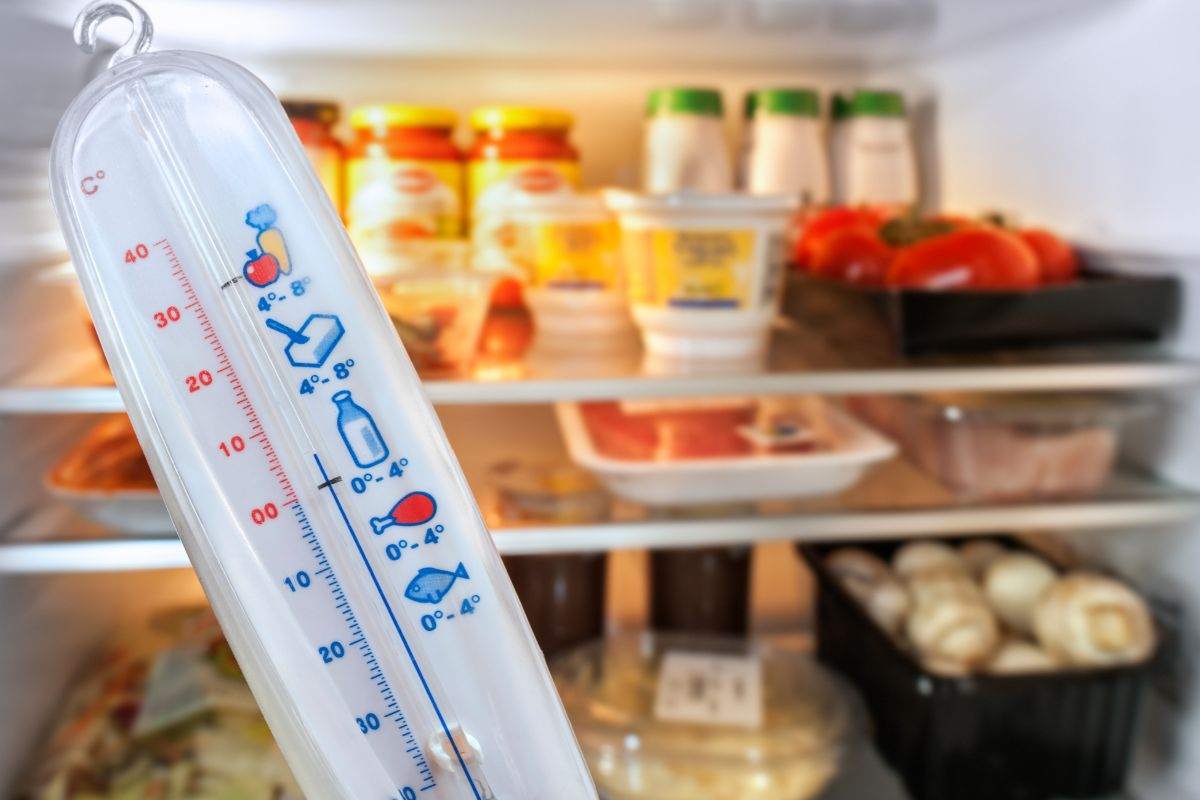 frigorifero aperto con cibo e termometro