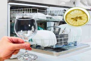 lavastovigli e fetta di limone