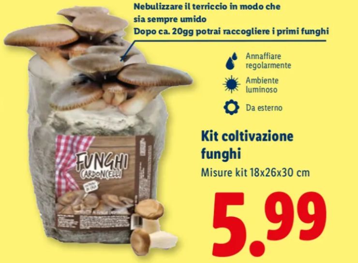 kit lidl per coltivare i funghi a casa