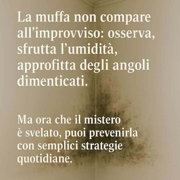 Il mistero della muffa