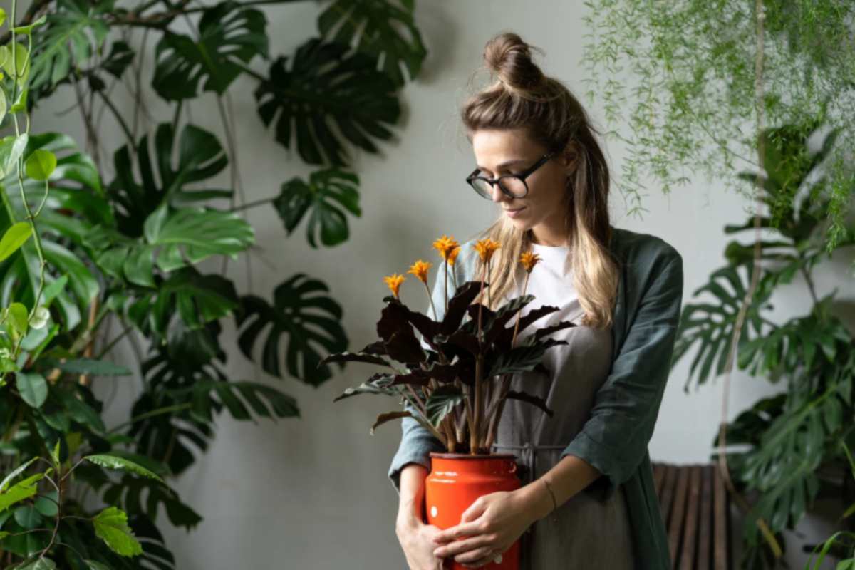 donna con una pianta in mano e altre piante intorno