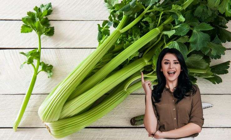 sedano ed una ragazza che lo indica