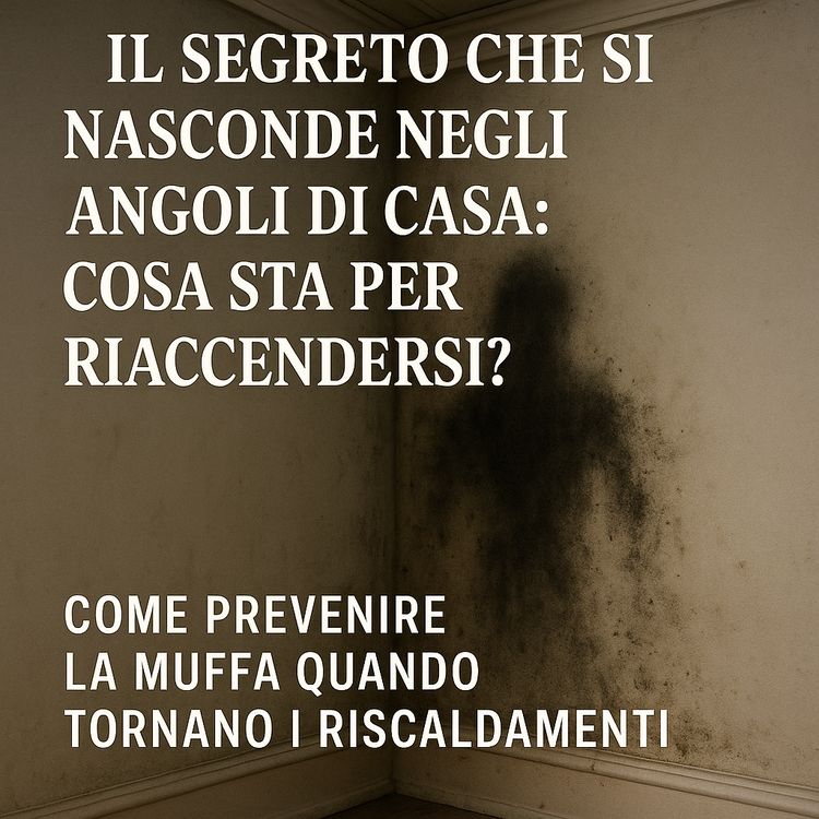 Come prevenire la muffa