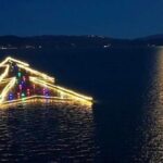 Albero nell'acqua tutto colorato