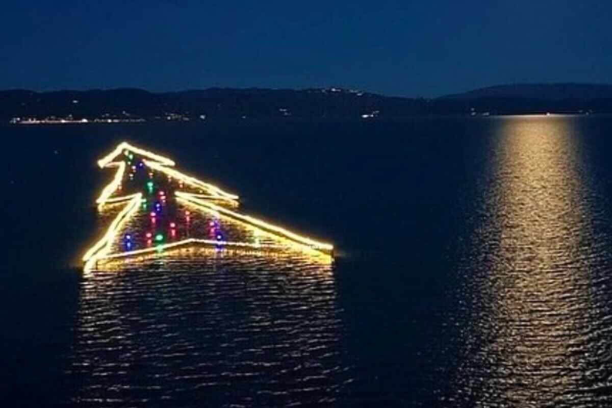 Albero nell'acqua tutto colorato