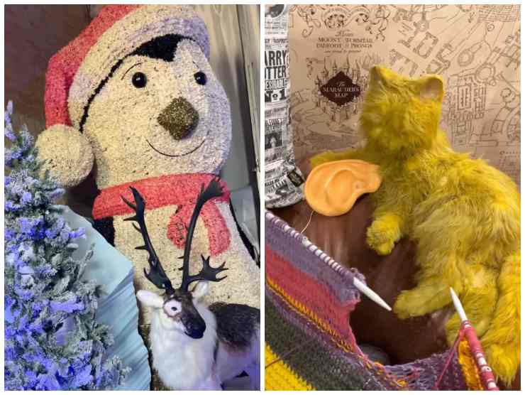 collage dal video instagram: pupazzo di neve vicino ad albero di natale e bianco e gatto verde 