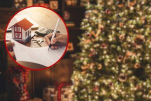 albero di natale e persona che firma un documento