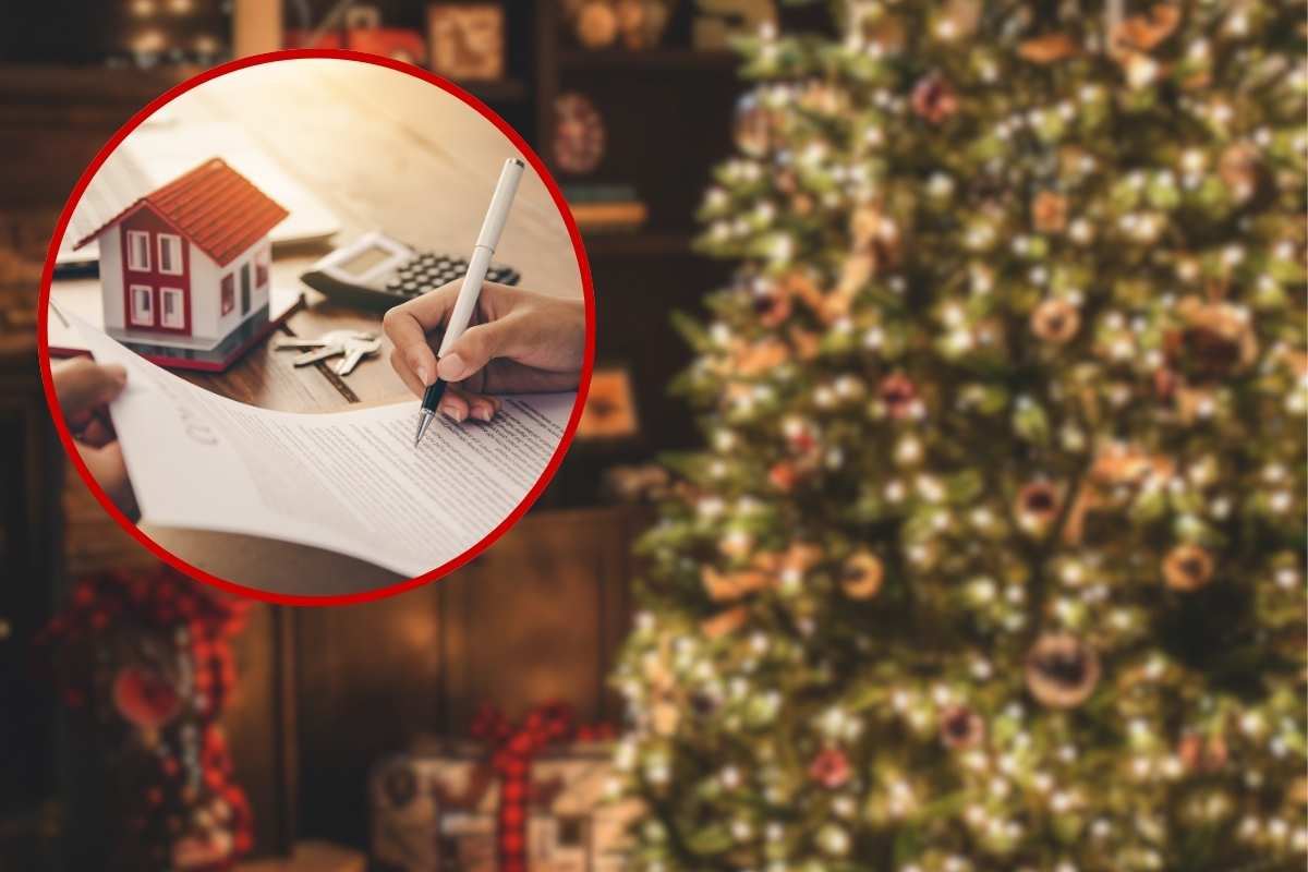 albero di natale e persona che firma un documento