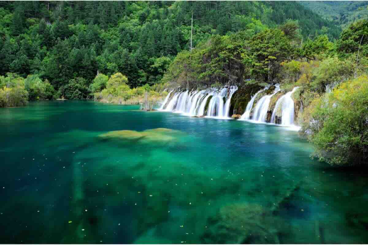Lago, cascata, vegetazione