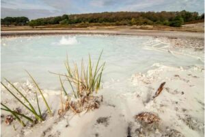 Geyser, pozze d'acqua, vegetazione